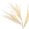 31" Cream Mini Pampas Stem by Ashland®